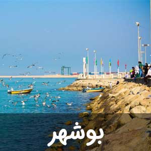 نمایندگی استان بوشهر